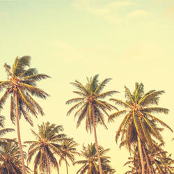 Number One Music for Long Vacations