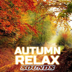 Sleep Autumn Rain & Thunder (feat. Cold Night Sleep Sounds, Thunder Sounds, Thunderstorm & Rain, Storm Power, Storms Unlimited & Weather Storms)