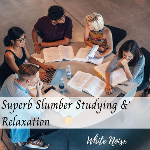 White Noise: Superb Slumber Studying & Relaxation