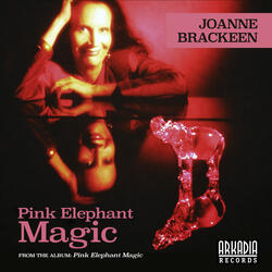 Pink Elephant Magic (feat. John Patitucci & Horacio El Negro Hernandez)