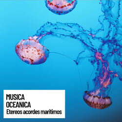 Soothing Ocean Music