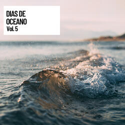 Sea Waves and Gentle Splashing