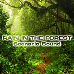Fresh Forest Wind after Rain (feat. Wind Atmosphere Sounds, Wind Sounds 3D, Wind White Noise FX, Rain Atmosphere Sounds, Fresh Wind Atmosphere Sounds & Rain Sounds FX)