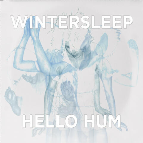 Hello Hum