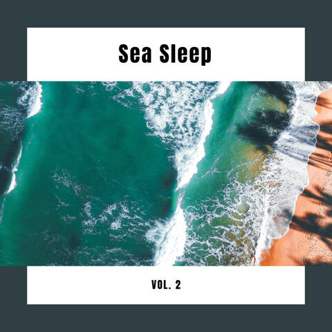 1 Sea Sleep Vol. 2