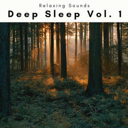 The Beach Songs for Relax