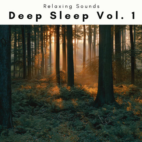 Deep Sleep Vol. 1
