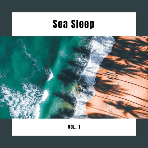 1 Sea Sleep Vol. 1