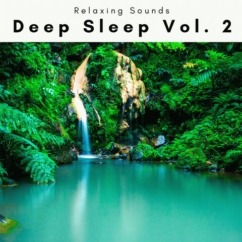 Deep Sleep Vol. 2