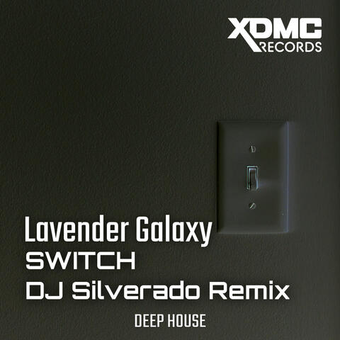 Switch