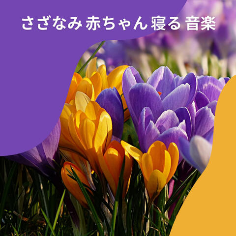 さざなみ 赤ちゃん 寝る 音楽