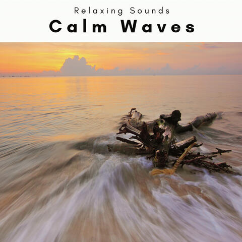 A Calm Wave
