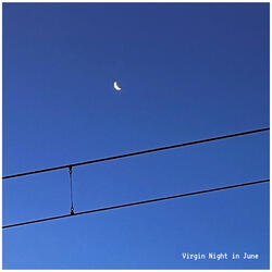 Virgin Night In June