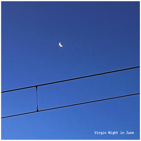 Virgin Night In June