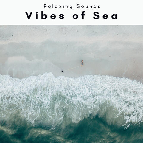 2022 Vibes of Sea