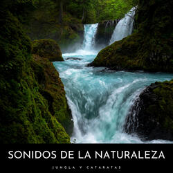 Música Salvaje