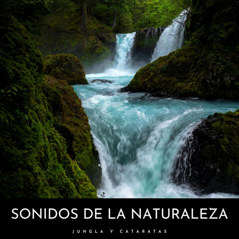 Sonidos De La Naturaleza: Jungla y Cataratas