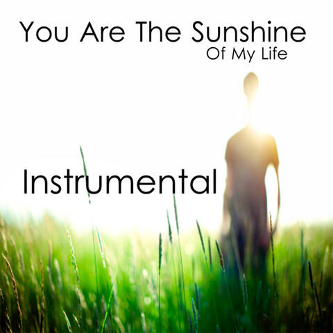 You Are the Sunshine of My Life: Instrumental
