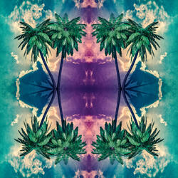 Islands In The Sky