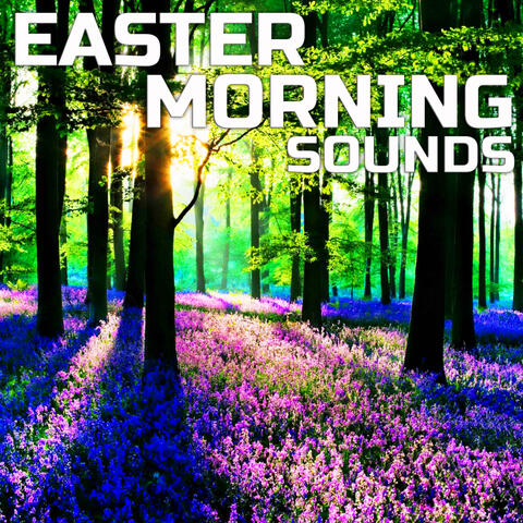 Easter Morning Sounds