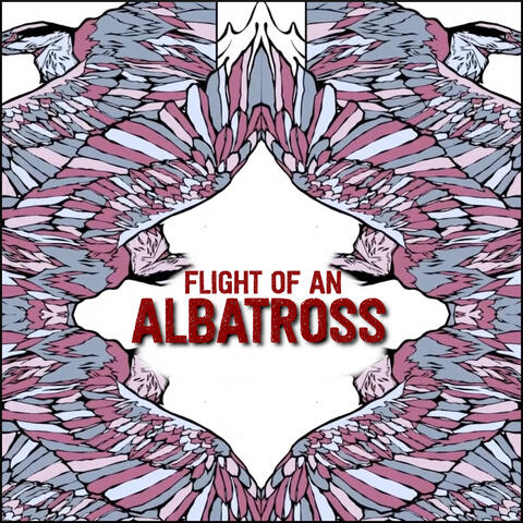Flight of an Albatross