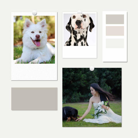 Music for Doggy Dreams (Trumpet, Soprano Sax, Tenor Sax and Guitar)