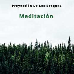 Naturaleza y Pájaros