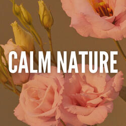 Calm Nature Moments, Pt. 13
