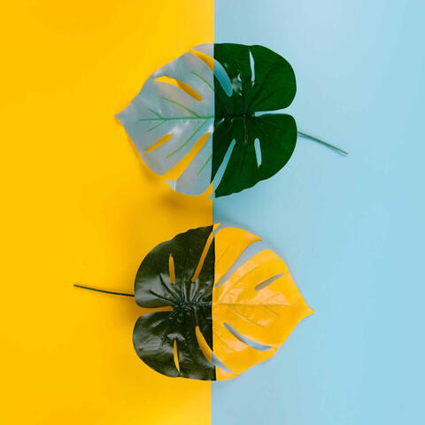 Feelings for Smooth Chilled Days