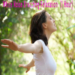 White Noise Breathing Relaxation (1 Hour)