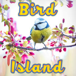 Bird Island