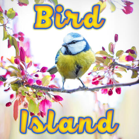 Bird Island