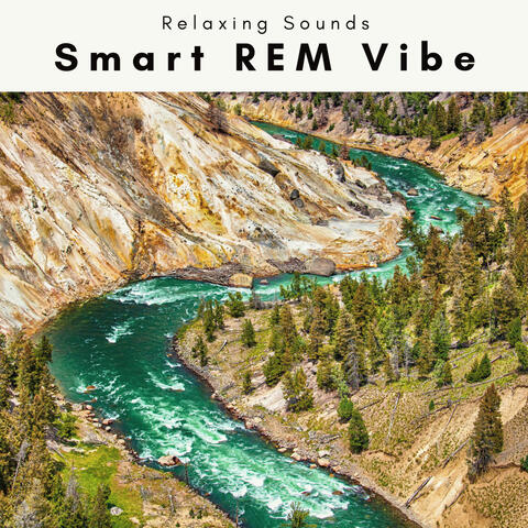 2 0 2 2 Smart REM Vibe