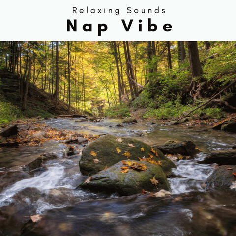 A Nap Vibe