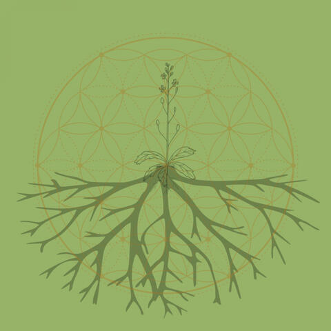 All Things Grow