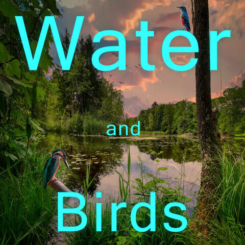 Water and Birds