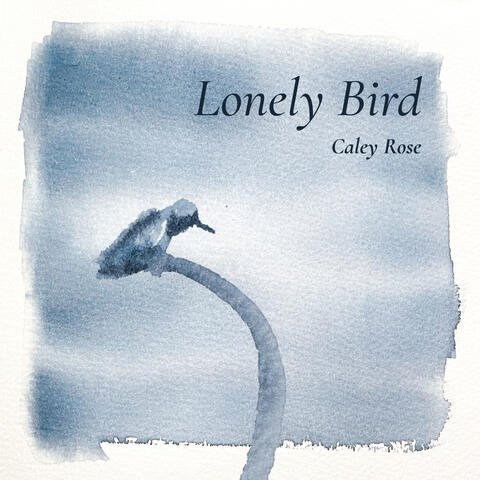 Lonely Bird