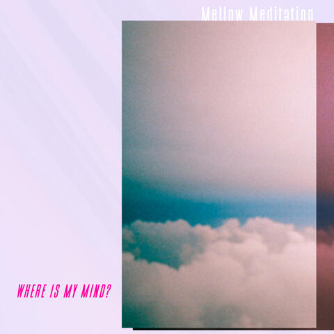 Where is My Mind