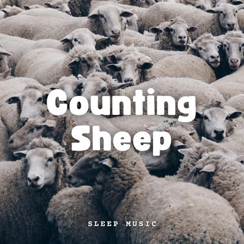 Sleep Music: Counting Sheep