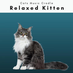 Soothing Cat Sleep Nature Sounds Pt. 3