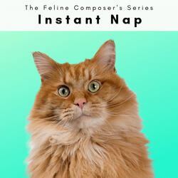 Soothing Cat Rest Tunes Pt. 5