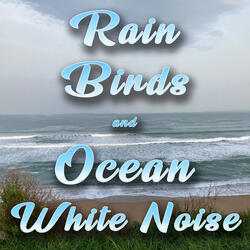 Rain, Birds and Ocean White Noise