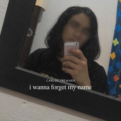 i forgot to break my heart