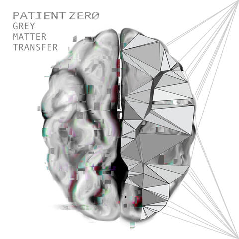 Grey Matter Transfer