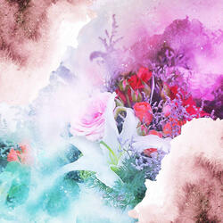 Deluxe Backdrops for Soft Memory