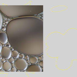 Opulent Moods for Soft Memory
