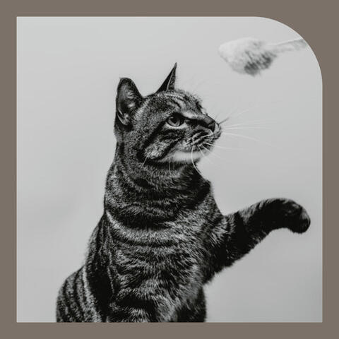 Ambiance for Favorite Kittens