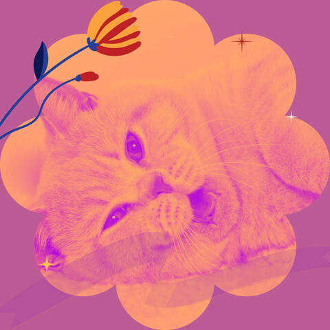 (Tenor Sax Solo) Music for Lush Kittens