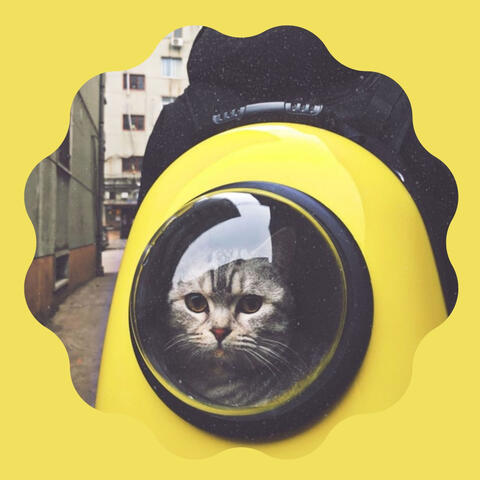 Cool Quartet Jazz - Background for Classic with Cats