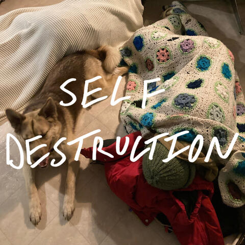 SELF DESTRUCTION